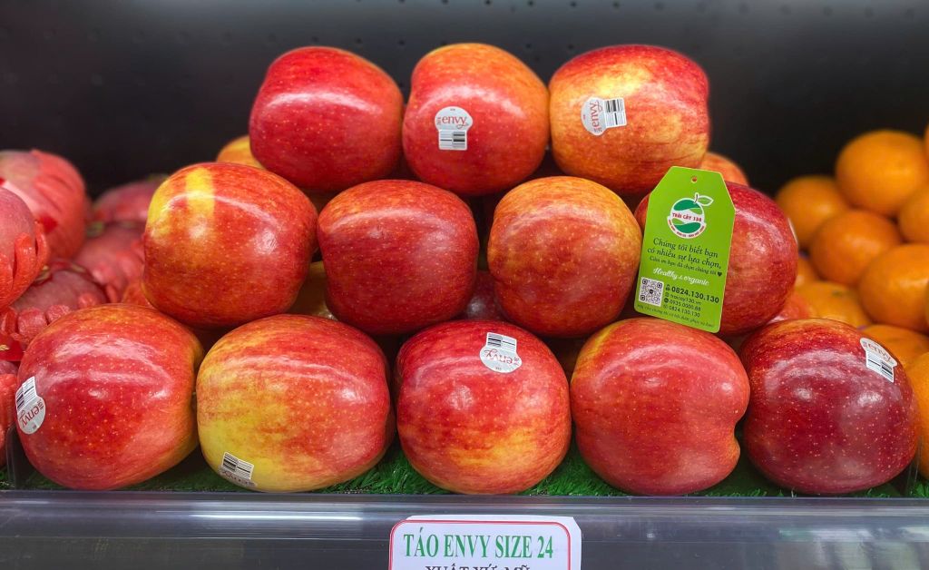 Táo envy Mỹ size 24