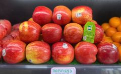 Táo envy Mỹ size 24