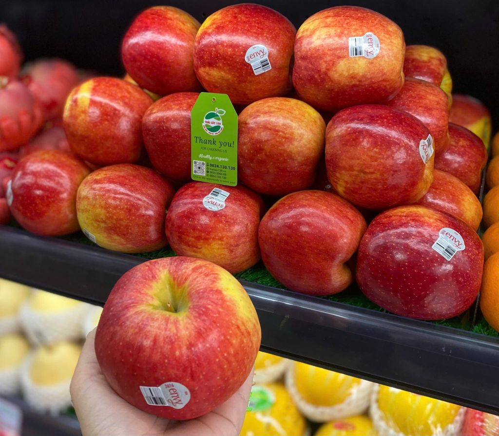 Táo envy Mỹ size 24