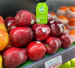 TÁO GÓC MỸ (bột)