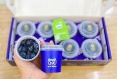 VIỆT QUẤT Blue Cup (ly 50gr)