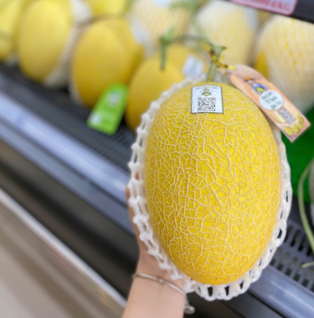 DƯA LƯỚI HUỲNH LONG