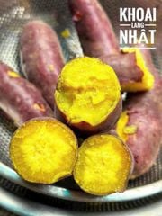 KHOAI LANG GIỐNG NHẬT