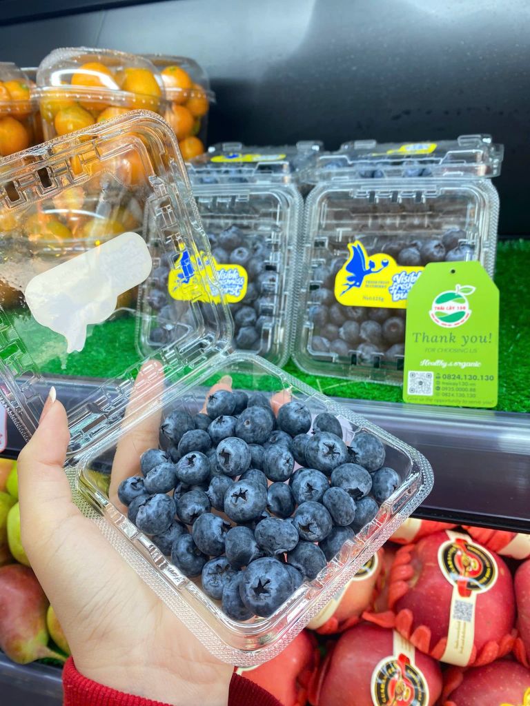 VIỆT QUẤT CÔ TIÊN  HỘP 125GR