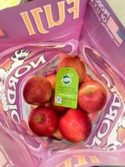 TÁO TÚI GẤU MỸ