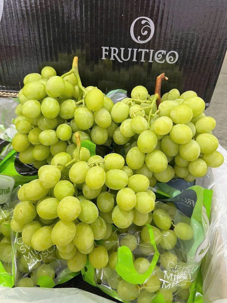 NHO XANH ÚC KHÔNG HẠT VIP