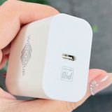  Combo củ cáp sạc nhanh Wisdomup PD20W Type C & Lightning (OCD-24P/24T) 