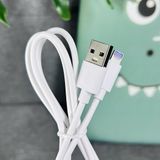  Cáp sạc nhanh Wisdomup USB to C & Ligh.ning 12W Dây TPE 1M bền bỉ, sạc an toàn (SJX-22) 