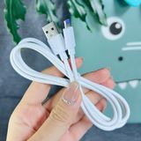  Cáp sạc nhanh Wisdomup USB to C & Ligh.ning 12W Dây TPE 1M bền bỉ, sạc an toàn (SJX-22) 