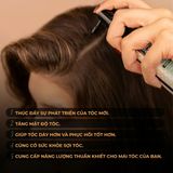  HAIR REGENERATOR FORTE SERUM - XỊT KÍCH MỌC 