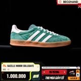GAZELLE INDOOR COLLEGIATE - IG1596 - 42