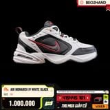 AIR MONARCH IV WHITE BLACK - 415445 101 - 40