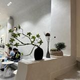  Yen Clinic 