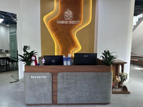 Sơn hiệu ứng dự án Naman Realty - 1