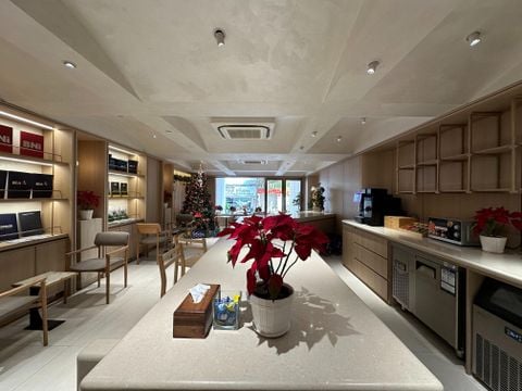Sơn hiệu ứng dự án Văn phòng BNI - 1