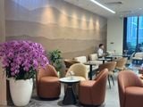  Tamba Coffee 