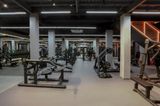  Gym Now Fit Q10 
