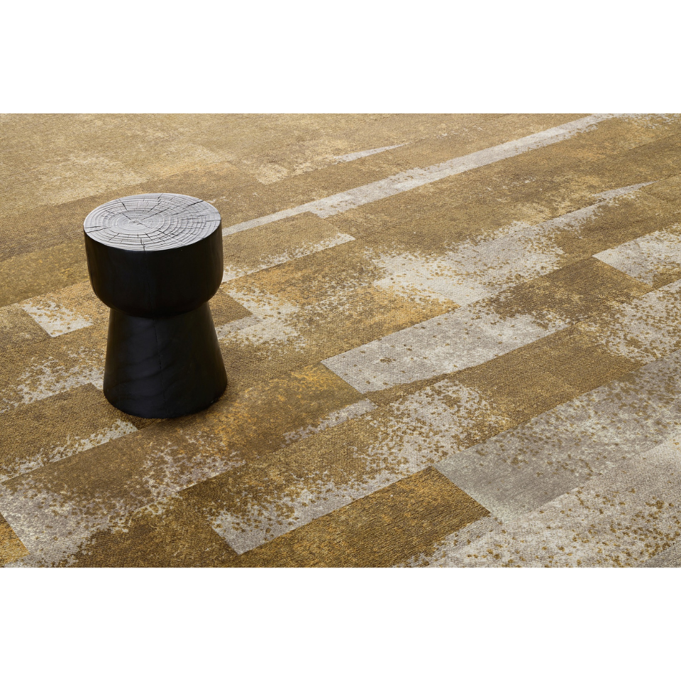 Salt Lake Collection