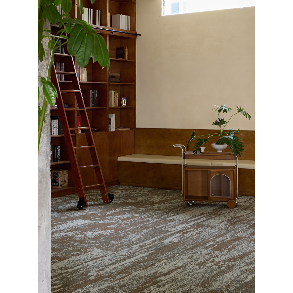 Salt Lake Collection