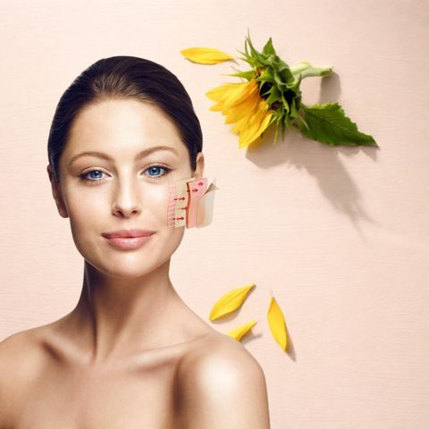 Combo Chăm Sóc Da New Nordic Natural Magic Firming Serrum & New Nordic Natural Magic Anti-Ageing Cream