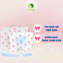 Túi Quà Kèm Hộp Quà Có Ruy Băng Nơ Sang Trọng Nhiều Màu Xinh Xắn