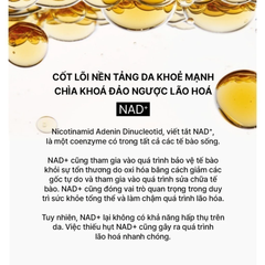 Tinh Chất Tự Sinh Chống Lão Hóa Thế Hệ Thứ 4 THE WHOO Bichup Ultimate Recovery Youth Serum