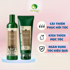 Bộ Gội Xả Weilaiya Zingiber Officinale Juice Repairment Hair Shampoo & Conditioner Gừng Hà Thủ Ô, Kích Mọc Tóc (Nâu Mới)