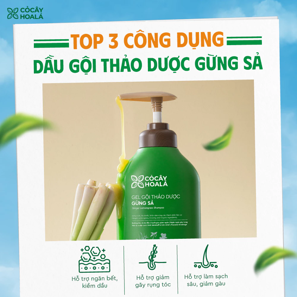 Dầu Gội Thảo Dược Gừng Sả Cỏ Cây Hoa Lá Ngăn Ngừa Gàu Và Giảm Gãy Rụng 500g