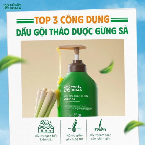 Dầu Gội Thảo Dược Gừng Sả Cỏ Cây Hoa Lá Ngăn Ngừa Gàu Và Giảm Gãy Rụng 500g