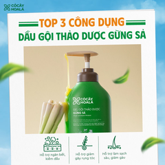 Dầu Gội Thảo Dược Gừng Sả Cỏ Cây Hoa Lá Ngăn Ngừa Gàu Và Giảm Gãy Rụng 500g