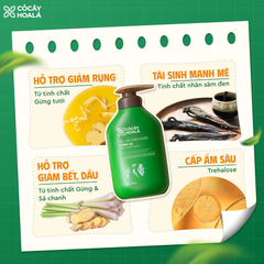 Dầu Gội Thảo Dược Gừng Sả Cỏ Cây Hoa Lá Ngăn Ngừa Gàu Và Giảm Gãy Rụng 500g
