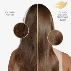 Dầu Gội Dove Ceramide Phục Hồi Hư Tổn Chắc Khỏe Tóc 640g