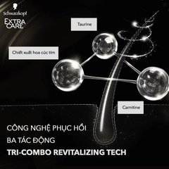 Dầu Gội Schwarzkopf Anti-Hair Loss Conditioning Repair Shampoo Hỗ Trợ Giảm Rụng Tóc 400ml