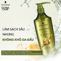Dầu Gội / Xả Schwarzkopf Extra Care Ginger Essence Kiểm Soát Dầu 400ml
