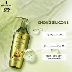 Dầu Gội / Xả Schwarzkopf Extra Care Ginger Essence Kiểm Soát Dầu 400ml