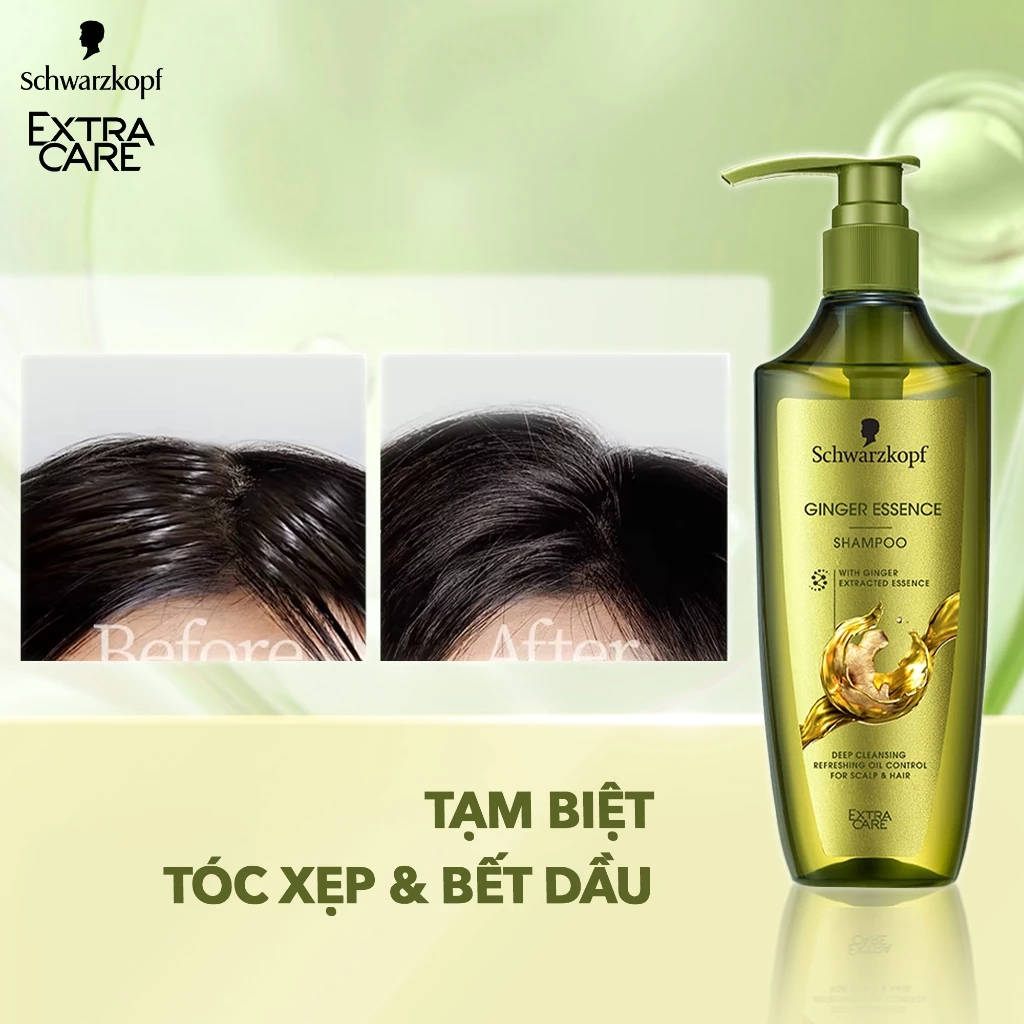 Dầu Gội / Xả Schwarzkopf Extra Care Ginger Essence Kiểm Soát Dầu 400ml