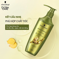 Dầu Gội / Xả Schwarzkopf Extra Care Ginger Essence Kiểm Soát Dầu 400ml