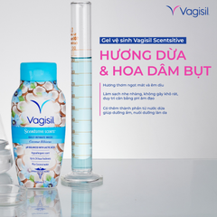 Dung Dịch Vệ Sinh Vagisil Daily Intimate Wash 240ml