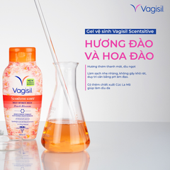 Dung Dịch Vệ Sinh Vagisil Daily Intimate Wash 240ml