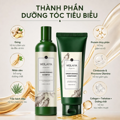 Bộ Gội Xả Weilaiya Ginger Hair Strength Shampoo & Conditioner Gừng Trắng, Giảm Rụng, Kích Mọc Tóc (Trắng Mới)