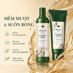 Bộ Gội Xả Weilaiya Ginger Hair Strength Shampoo & Conditioner Gừng Trắng, Giảm Rụng, Kích Mọc Tóc (Trắng Mới)