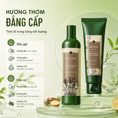 Bộ Gội Xả Weilaiya Zingiber Officinale Juice Repairment Hair Shampoo & Conditioner Gừng Hà Thủ Ô, Kích Mọc Tóc (Nâu Mới)