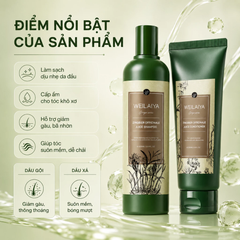 Bộ Gội Xả Weilaiya Zingiber Officinale Juice Repairment Hair Shampoo & Conditioner Gừng Hà Thủ Ô, Kích Mọc Tóc (Nâu Mới)