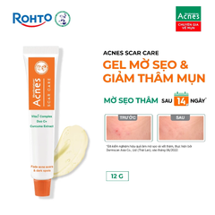 Gel Dưỡng Acnes Scar Care Giúp Mờ Sẹo & Giảm Thâm Mụn 12g