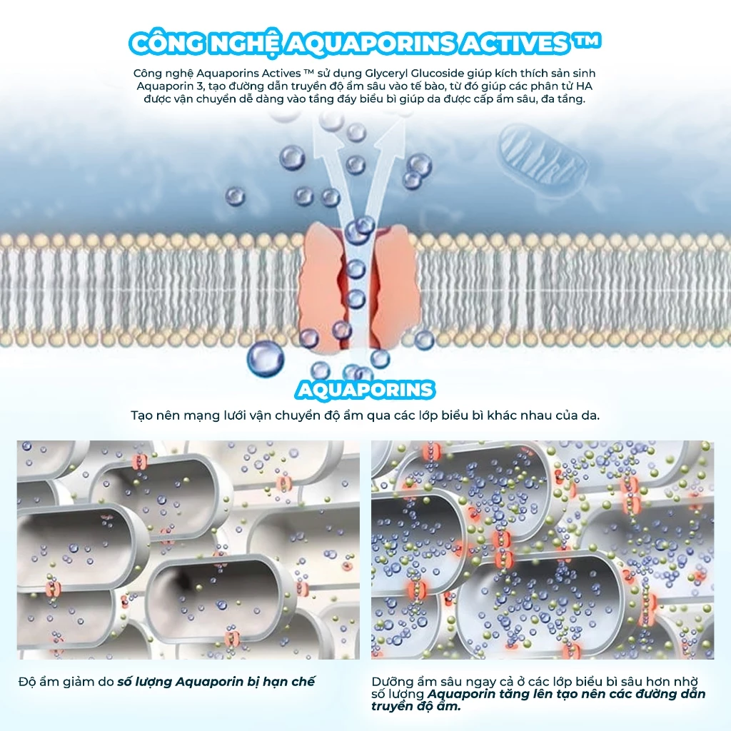 Kem Dưỡng Tia'm HA Hyaluronic Moisture Revive Cream Cấp Nước, Hỗ Trợ Căng Bóng Da 50ml