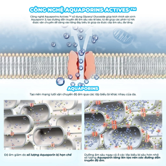 Kem Dưỡng Tia'm HA Hyaluronic Moisture Revive Cream Cấp Nước, Hỗ Trợ Căng Bóng Da 50ml