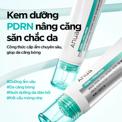 Kem Dưỡng Ẩm Anua PDRN Hyaluronic Acid 100 Moisturizing Cream 60ml