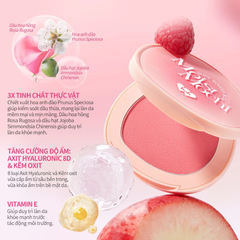 Má Hồng Barenbliss Moist Mochi Paste Powder Blush Kem Lai Phấn Dễ Tán Bền Màu 4.5g