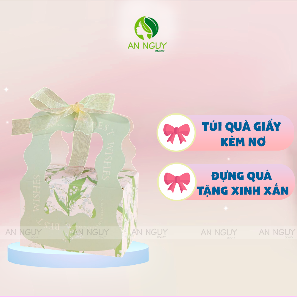 Túi Quà Giấy Có Nơ Best Wishes To You