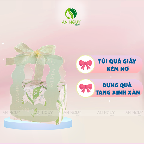 Túi Quà Giấy Có Nơ Best Wishes To You